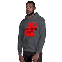 Load image into Gallery viewer, Created Equal Unisex Hoodie