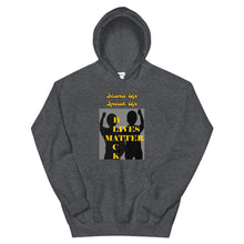 Load image into Gallery viewer, Black Lives Matter Unisex Hoodie
