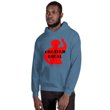 Load image into Gallery viewer, Created Equal Unisex Hoodie