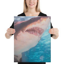 Load image into Gallery viewer, Shark Canvas
